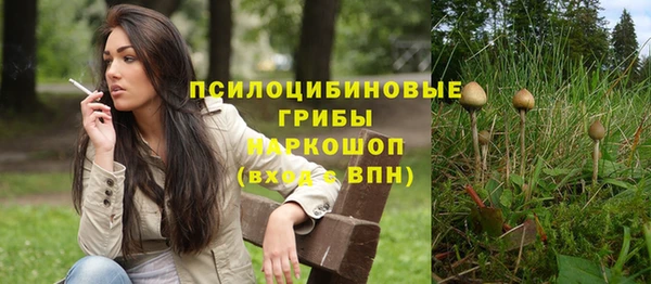 синтетический гашиш Белокуриха