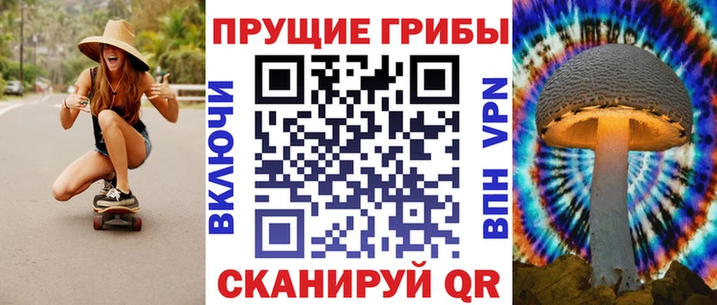 KRAKEN как зайти  где купить   Макаров  Псилоцибиновые грибы ЛСД 